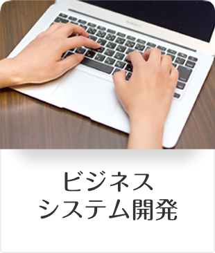 ビジネスシステム開発