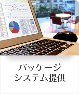 パッケージシステム提供
